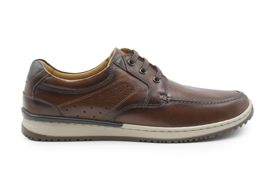Dubarry - Buddy - Brown