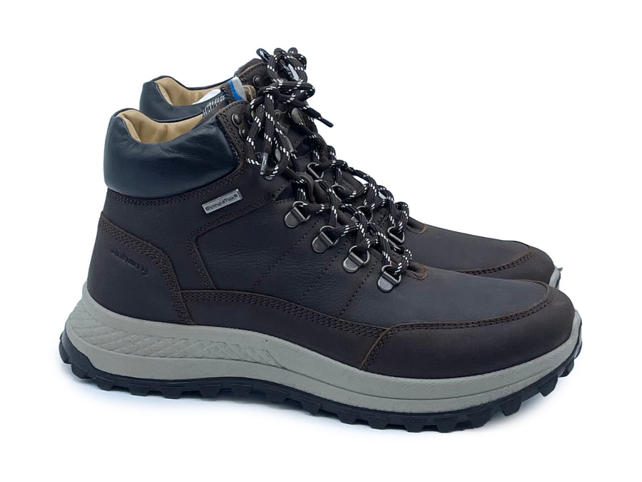 Dubarry - Alaska - Java