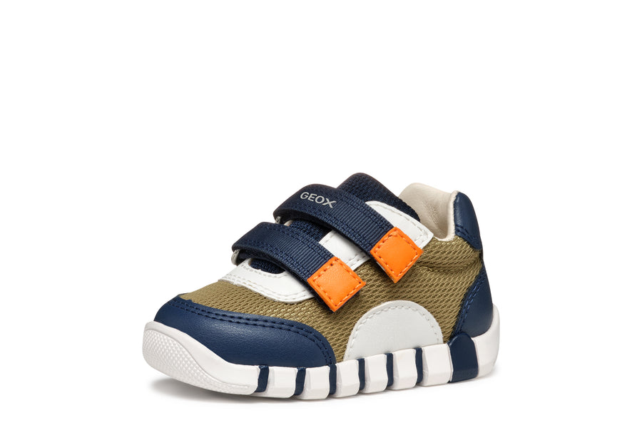 Geox - B3555C-01454 - Green/ Navy