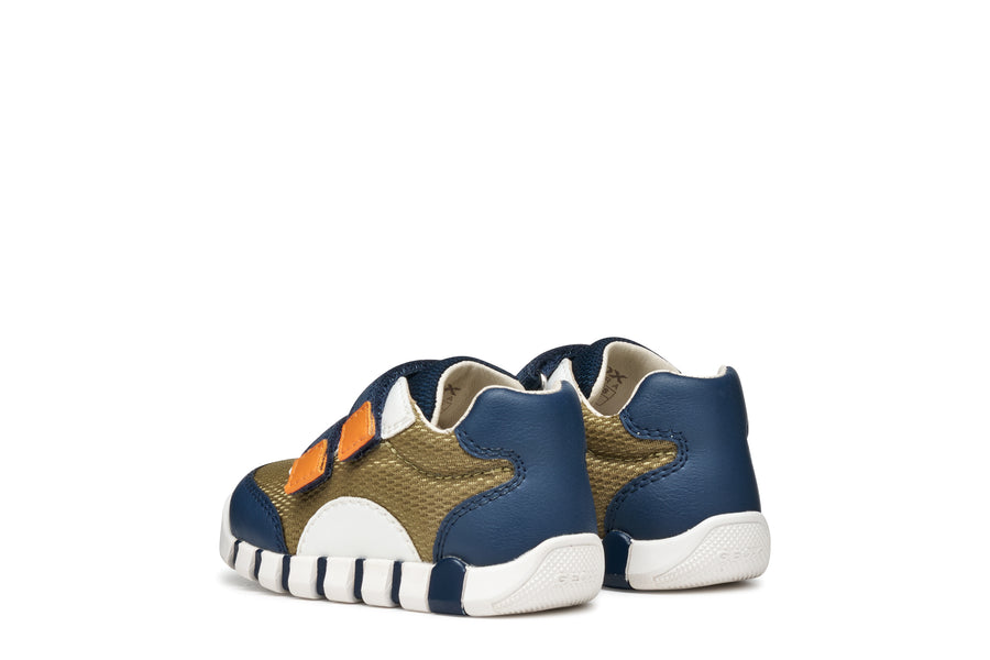 Geox - B3555C-01454 - Green/ Navy