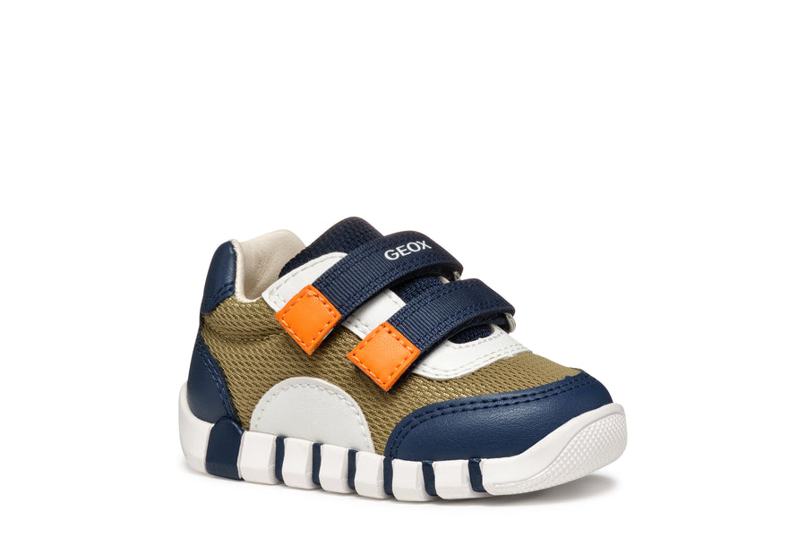 Geox - B3555C-01454 - Green/ Navy