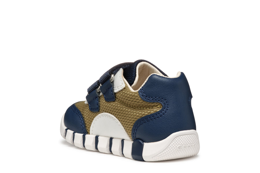 Geox - B3555C-01454 - Green/ Navy