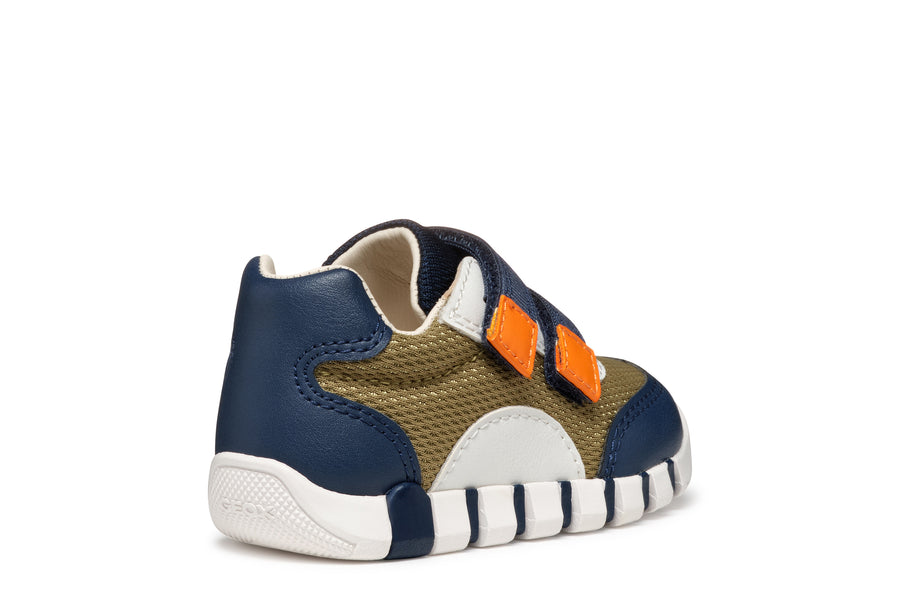 Geox - B3555C-01454 - Green/ Navy