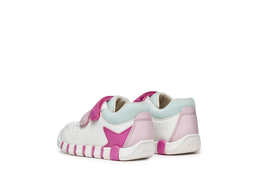 Geox - B5558A White/Pink