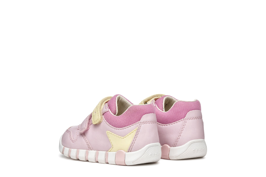 Geox - B5558A - Pink/ Lt Yellow